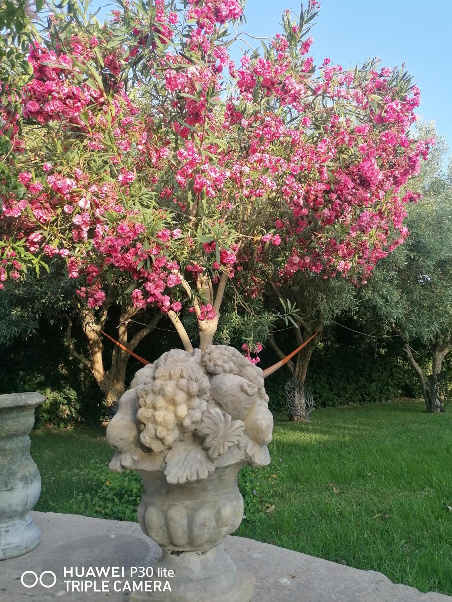 Oasi Di Campagna Hotel Модика Екстериор снимка